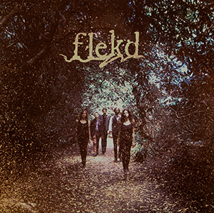Flekd300